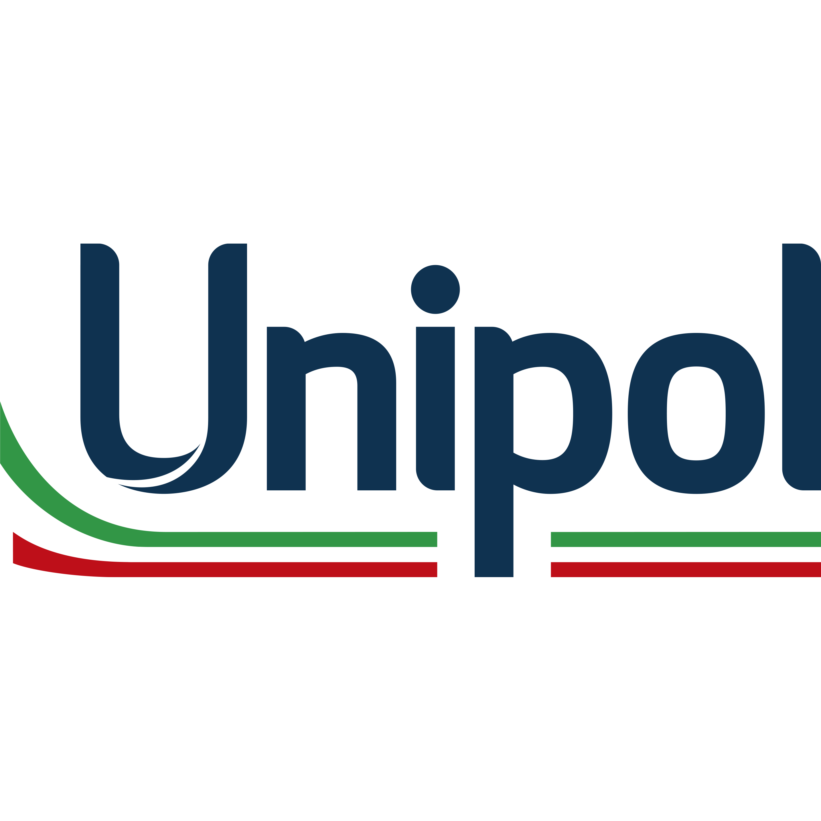 Unipol Assicurazioni S.p.a.
